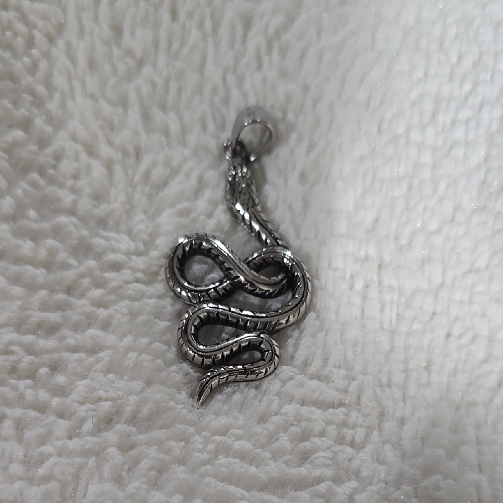 Stainless steel Snake Pendant for Reptile Enthusiasts. Steel by EFORCE